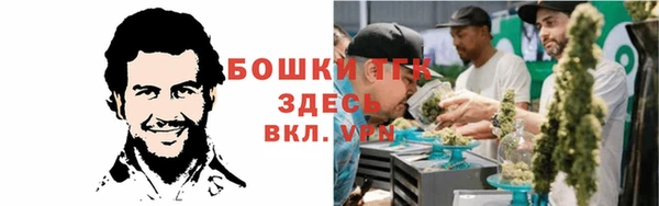 трава Богородицк